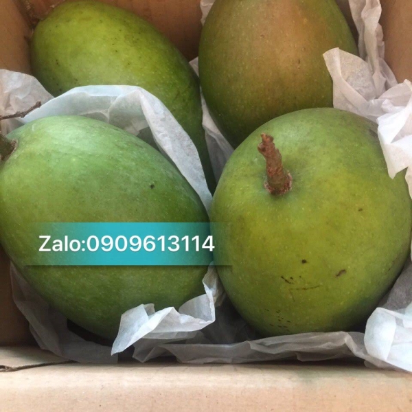 Giấy gói trái cây - Giấy Ngành May Mặc Phú Thanh Vân - Công Ty TNHH Phú Thanh Vân